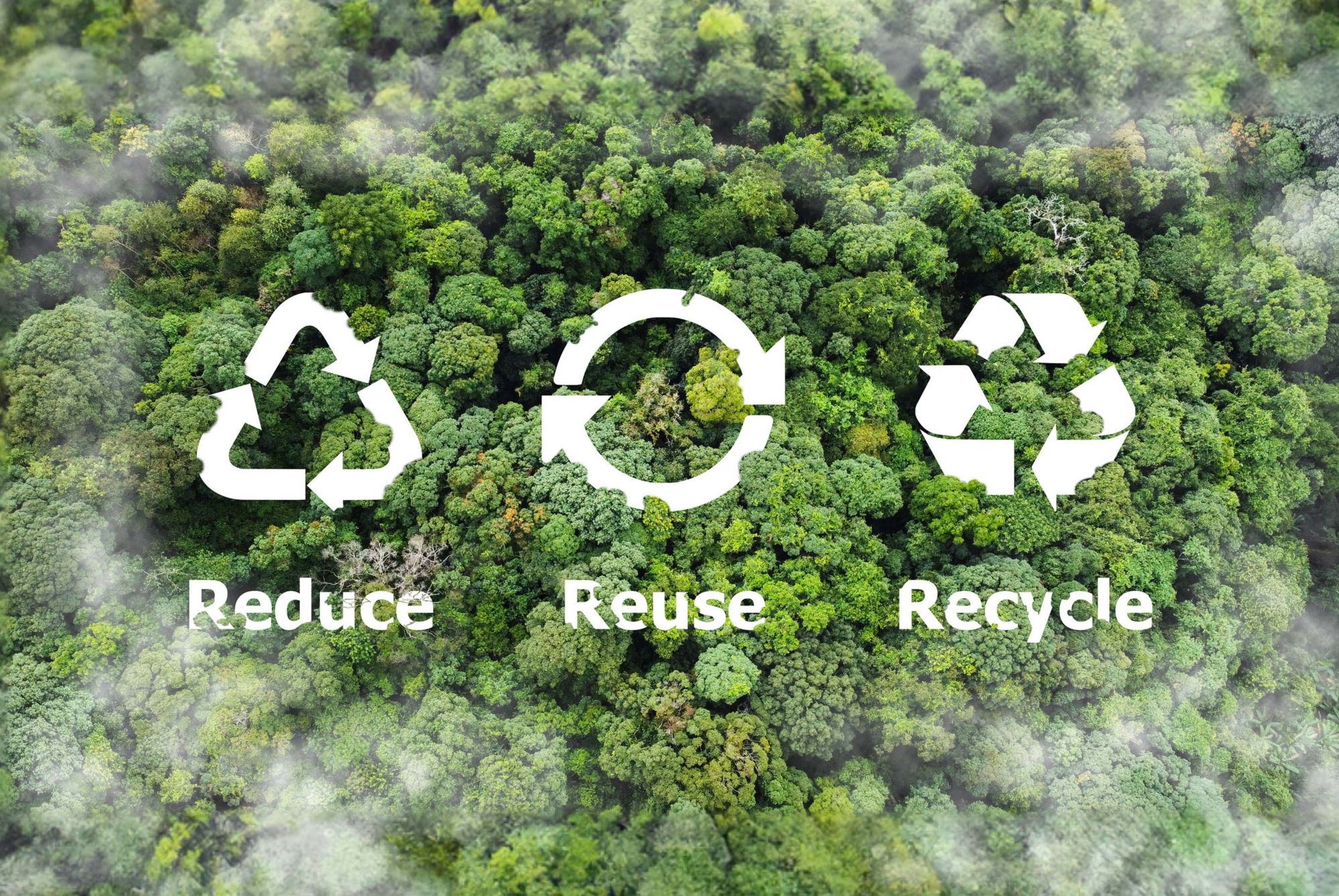 Reduce, reuse, recycle icons embedded in an aerial view of the forest. 