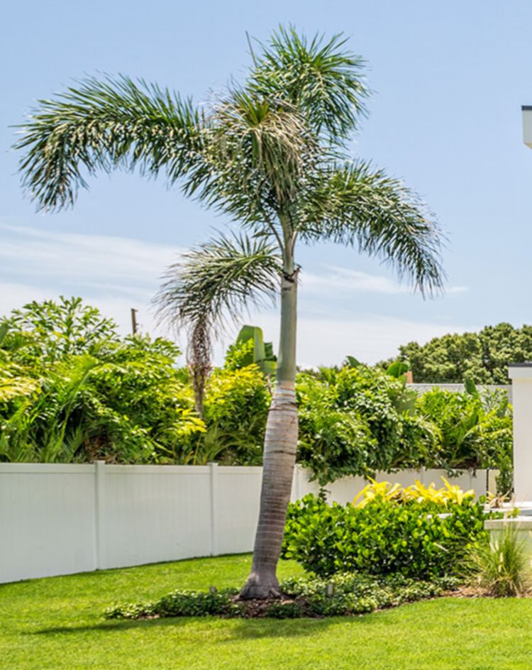 Modern two‑story home with large glass windows, a pool, palm trees, and a landscaped backyard. 