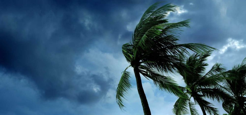 saflex hp_hero banner_5760x2692 - 1 