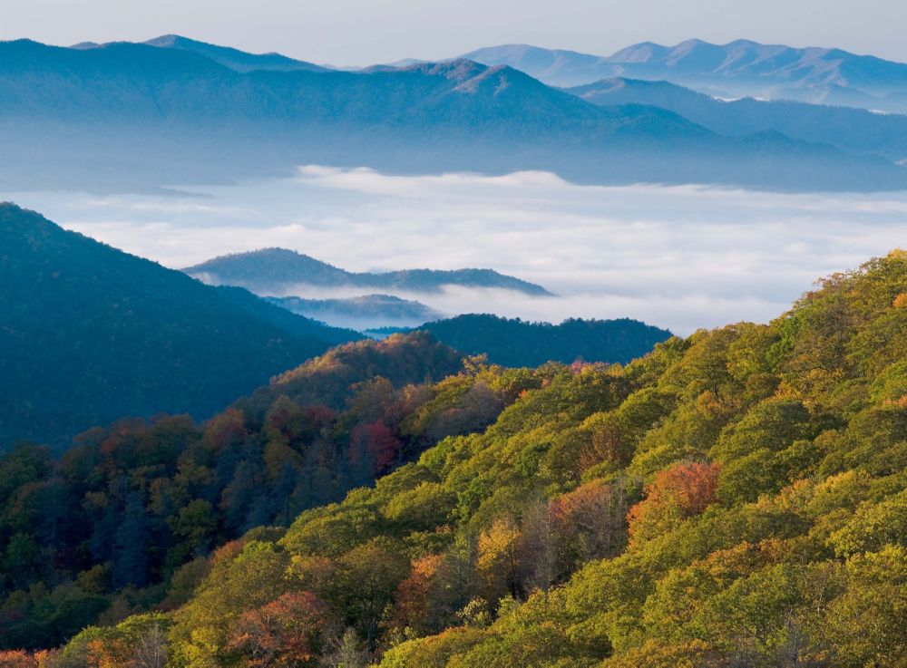 Mountain forests are covered in fog at sunrise. 
