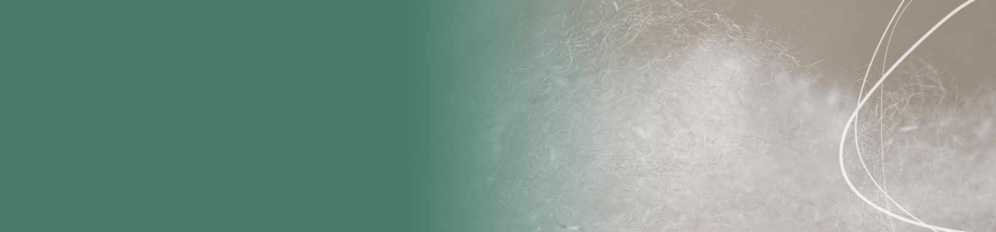 Closeup of staple fibers fading into a green gradient 