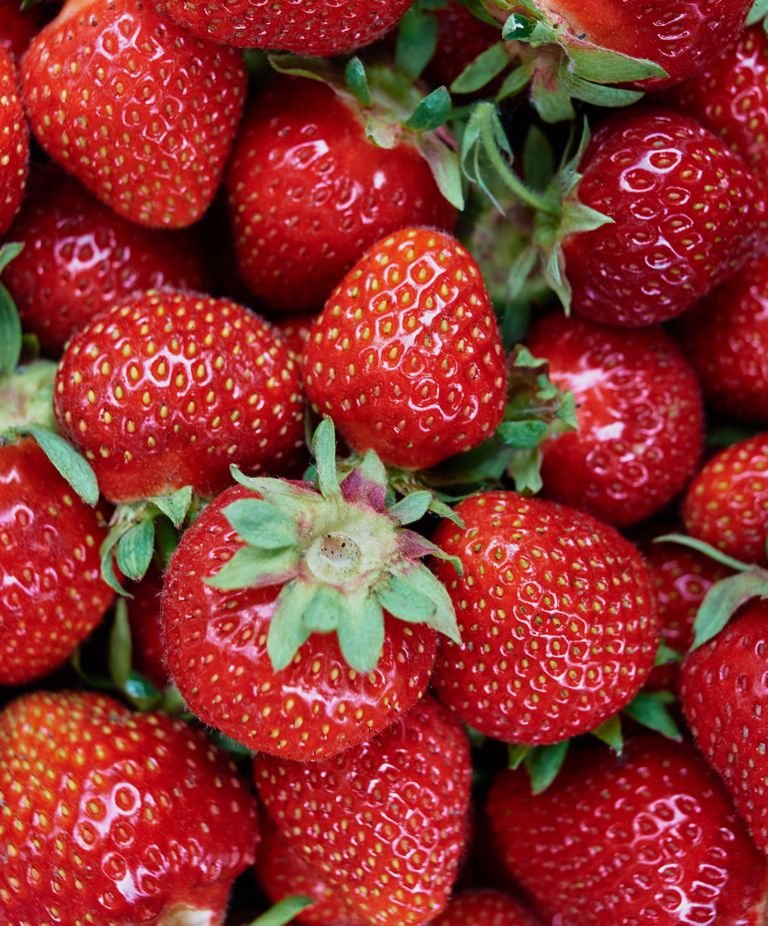 A pile of cleaned, red strawberries. 