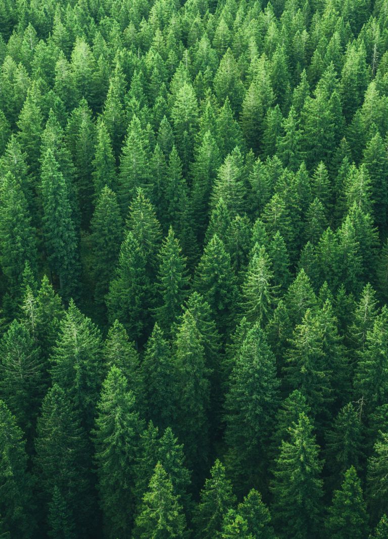 Eastman protects, preserves and restores the natural habitats around us. 