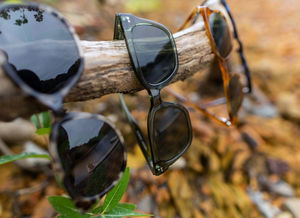 Three Tritan sunglasses displayed on a branch.  