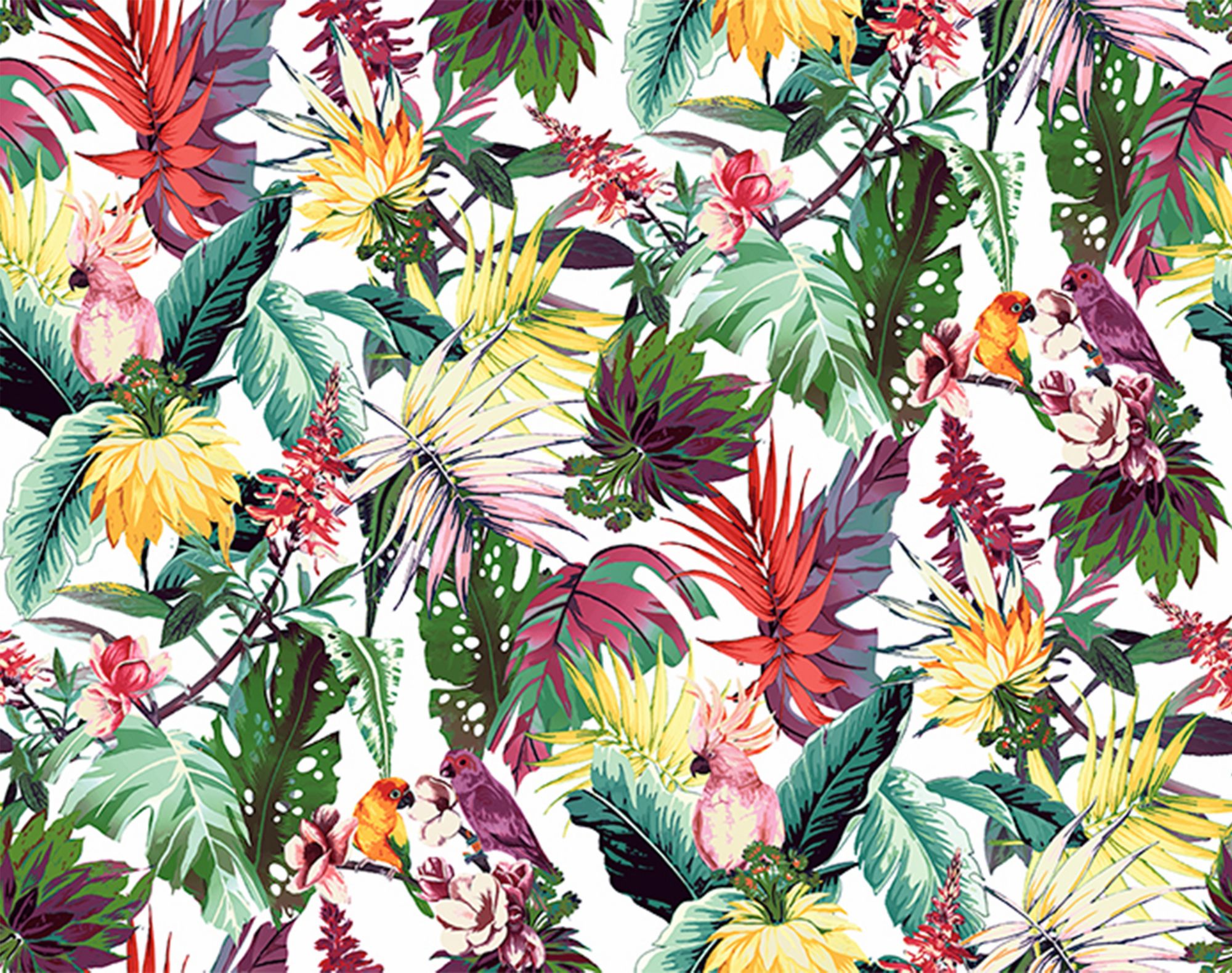 Tropical plants and parrots colorful pattern 