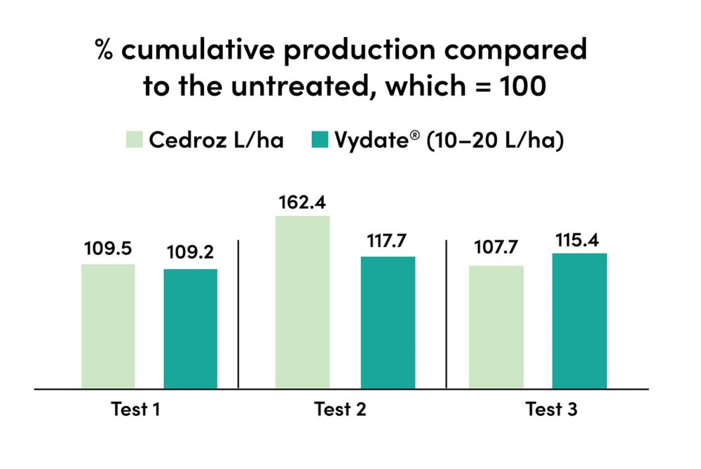 Graph compares cucumber production with standard product and Cedroz treatments, showing higher production with Cedroz 