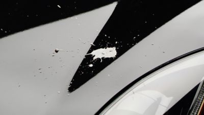 Juste de protection pour voiture, changeur d'opathie, équilibreur