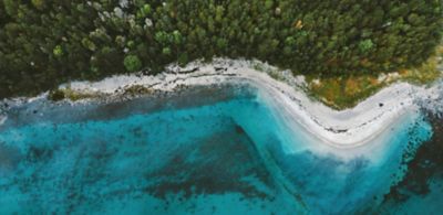 Breaking down silos for science